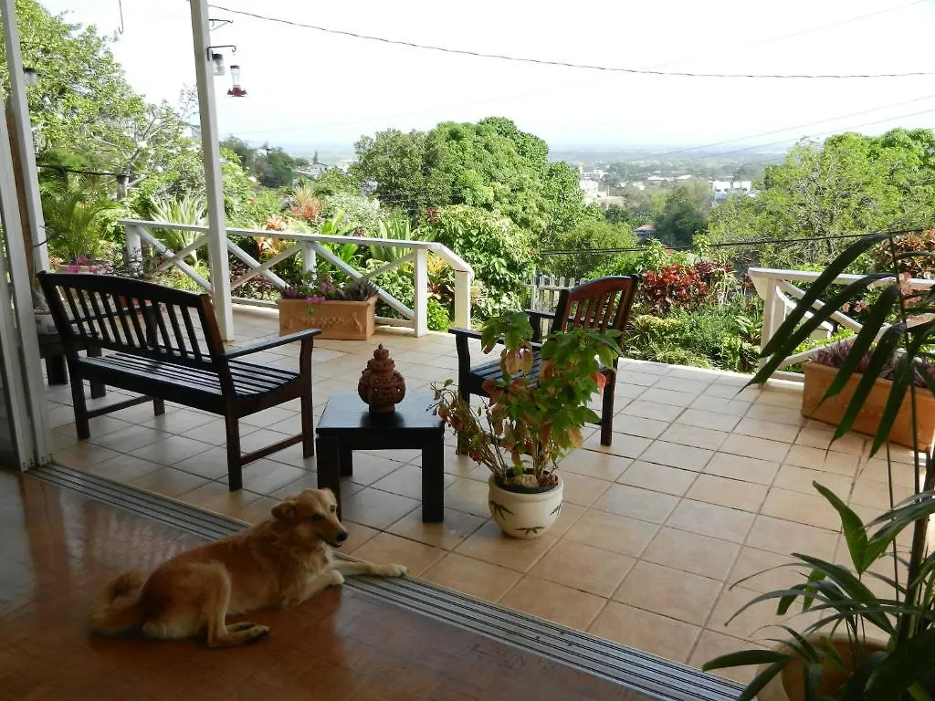 Amazon Lodge Tunapuna Village 5*,  Trinidad a Tobago