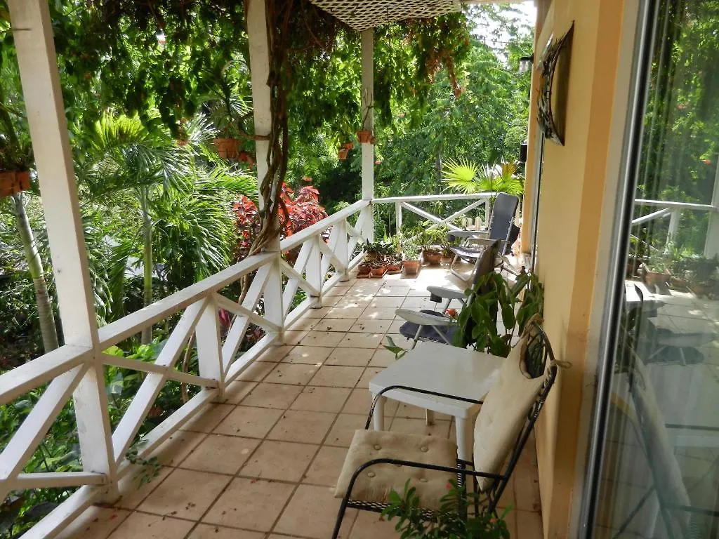 Amazon Lodge Tunapuna Village Vendégház